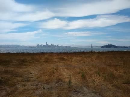 San Francisco skyline and Bay Bridge from the park.