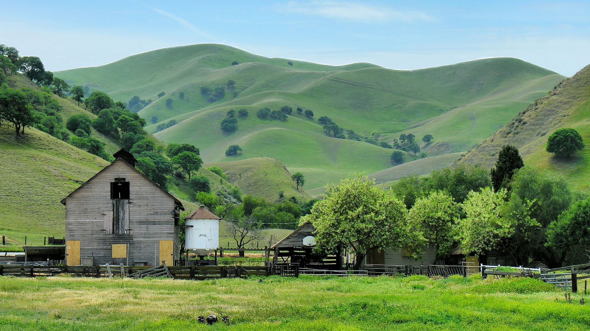 Old barn in the the east bay hills!
