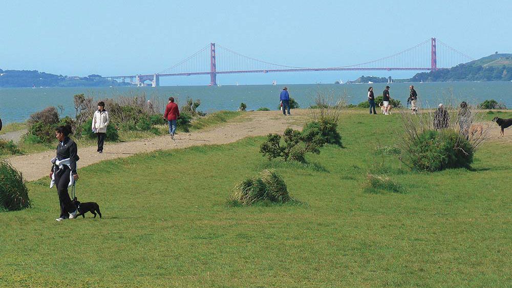 Great view of the golden gate bridge along trail in Point Isabel