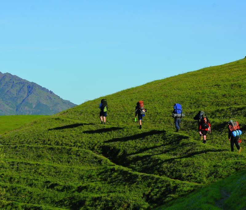 Backpackers on trail surrounded by verdant hillside