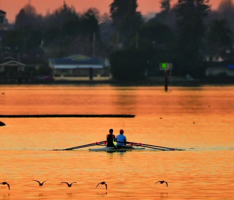 Rowing in the lake as the sunsets with shorebirds flying nearby