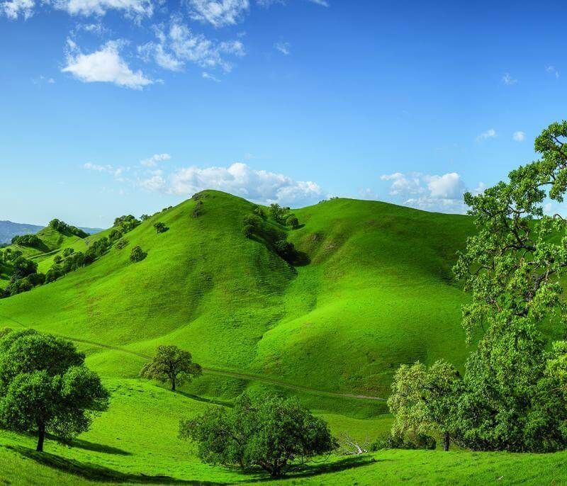 Lush green hills in the east bay hills