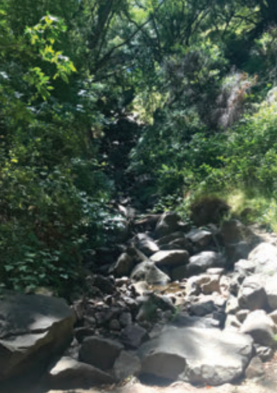 Rocky trail in Lake Chabot