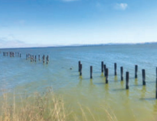 Old broken pier jetting out into the water