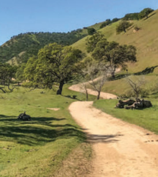 Nice dirt trail through Round Valley