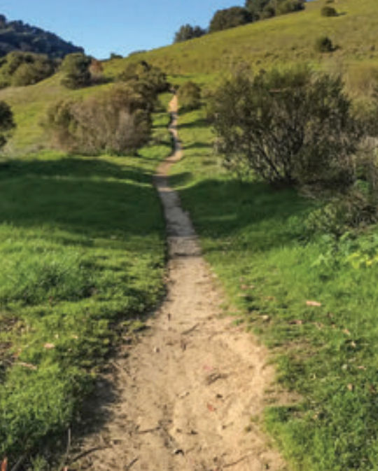 Nice path through the grasslands in Anthony Chabot