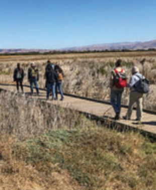 Hikers on boardwalk