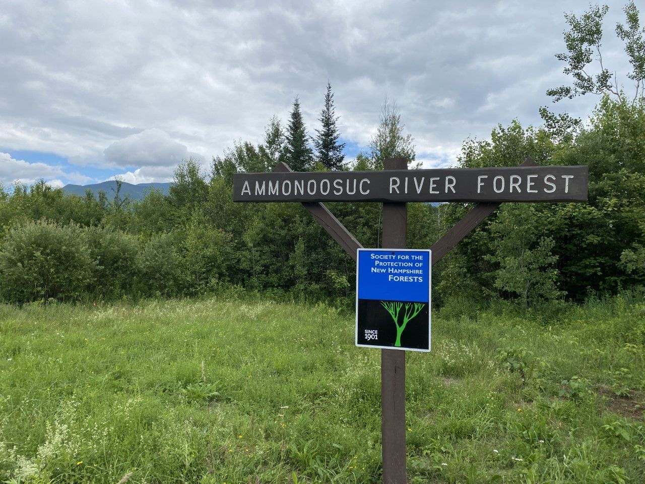 A property sign for Ammonoosuc River Forest with the Forest Society's logo.