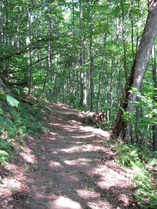 The hiking section of the 6-To-Ten Trail climbs through the wooded Allegheny Front.