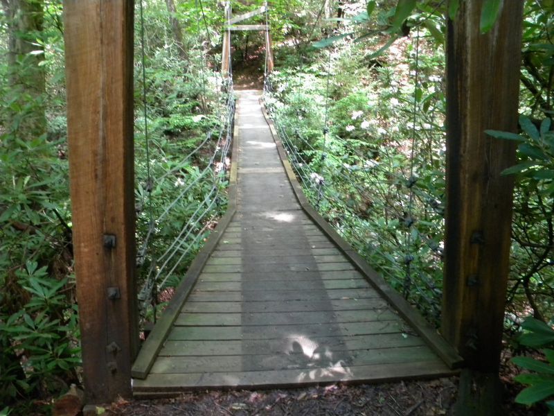 Andy Cove Nature Trail