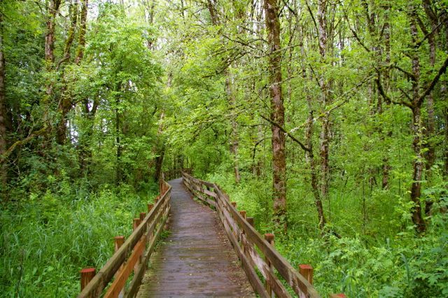 Boardwalk section of rail-trail. Courtesy of Trailkeepers of Oregon. Photo by John Sparks.