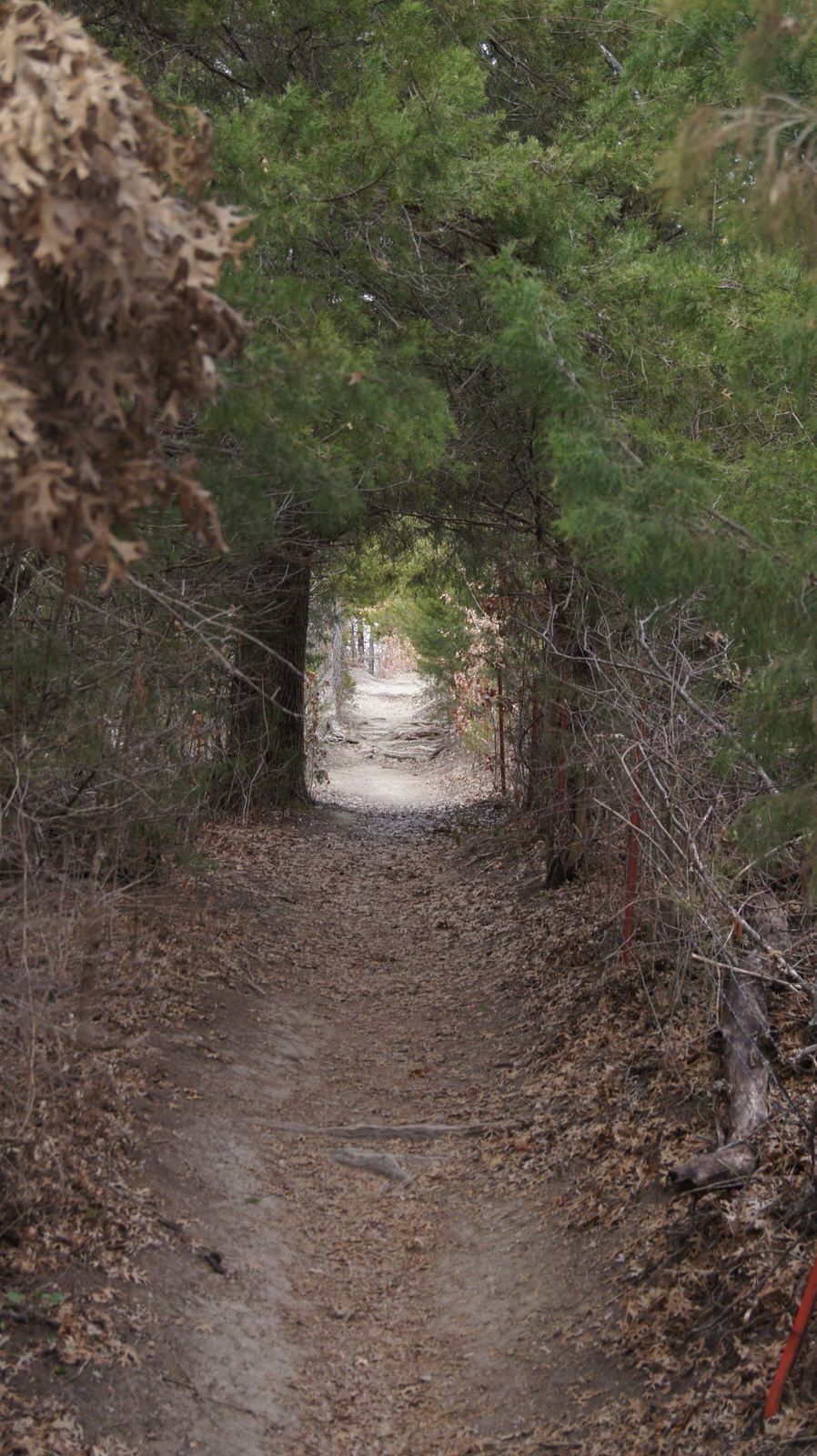 Herman Baker Park hiking trail. Photo by Sherman Parks and Recreation.