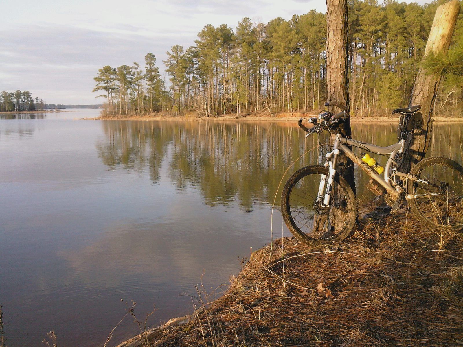 Resting at lakes edge against tree.