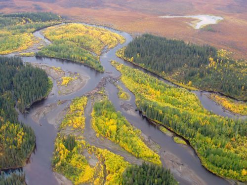 Beaver creek in fall