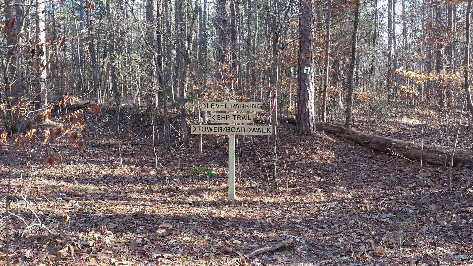 Big Hill Pond State Park. Photo by Tennessee State Parks.