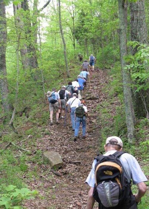 Blevins Gap Nature Preserve's Bill & Marion Certain Trail