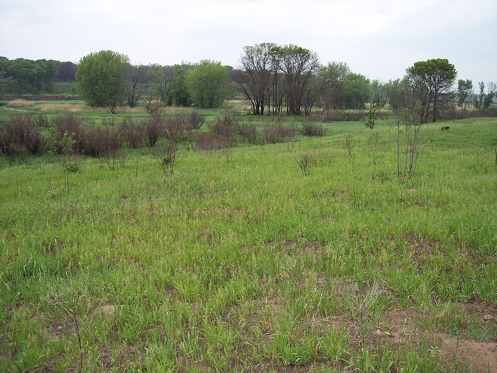 Sherburne National Wildlife Refuge along the St. Francis River. Photo by Tim Kiser.