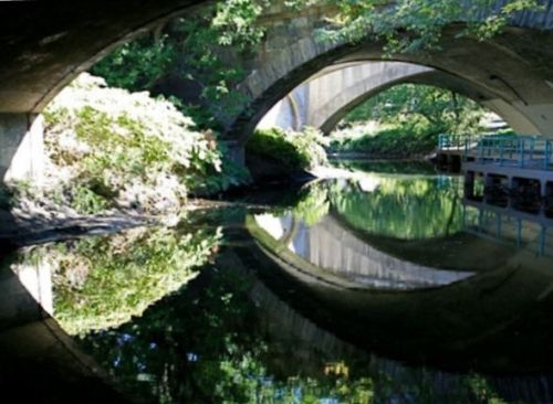 Bronx River Blueway