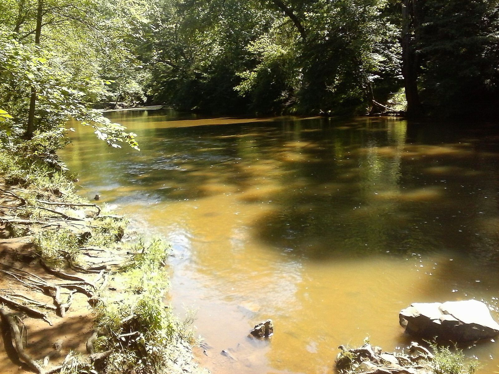 Bull Run from the Bull Run-Occoquan Trail. Photo by Jakob Coles.