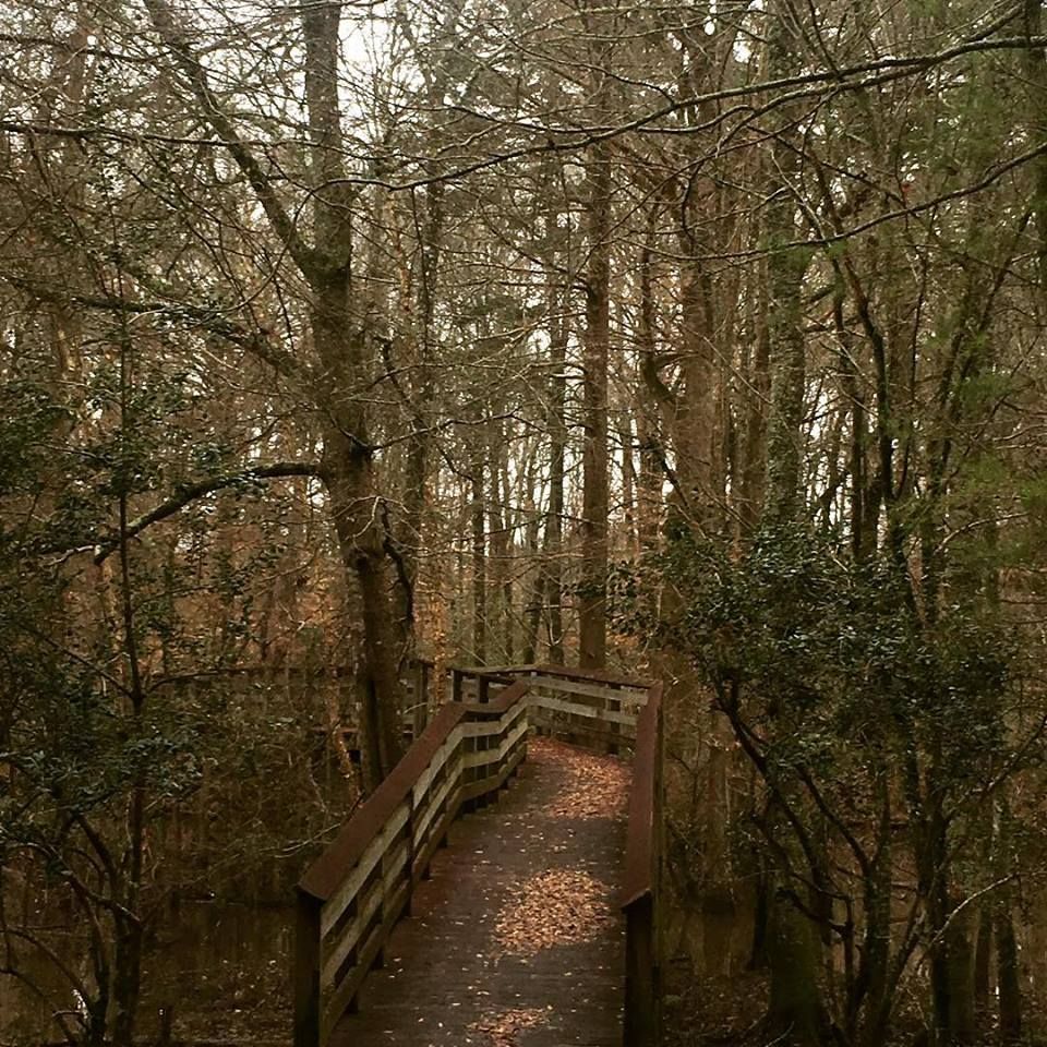 The nature trail is a nice walk through the woods. Photo by Mississippi Sought.