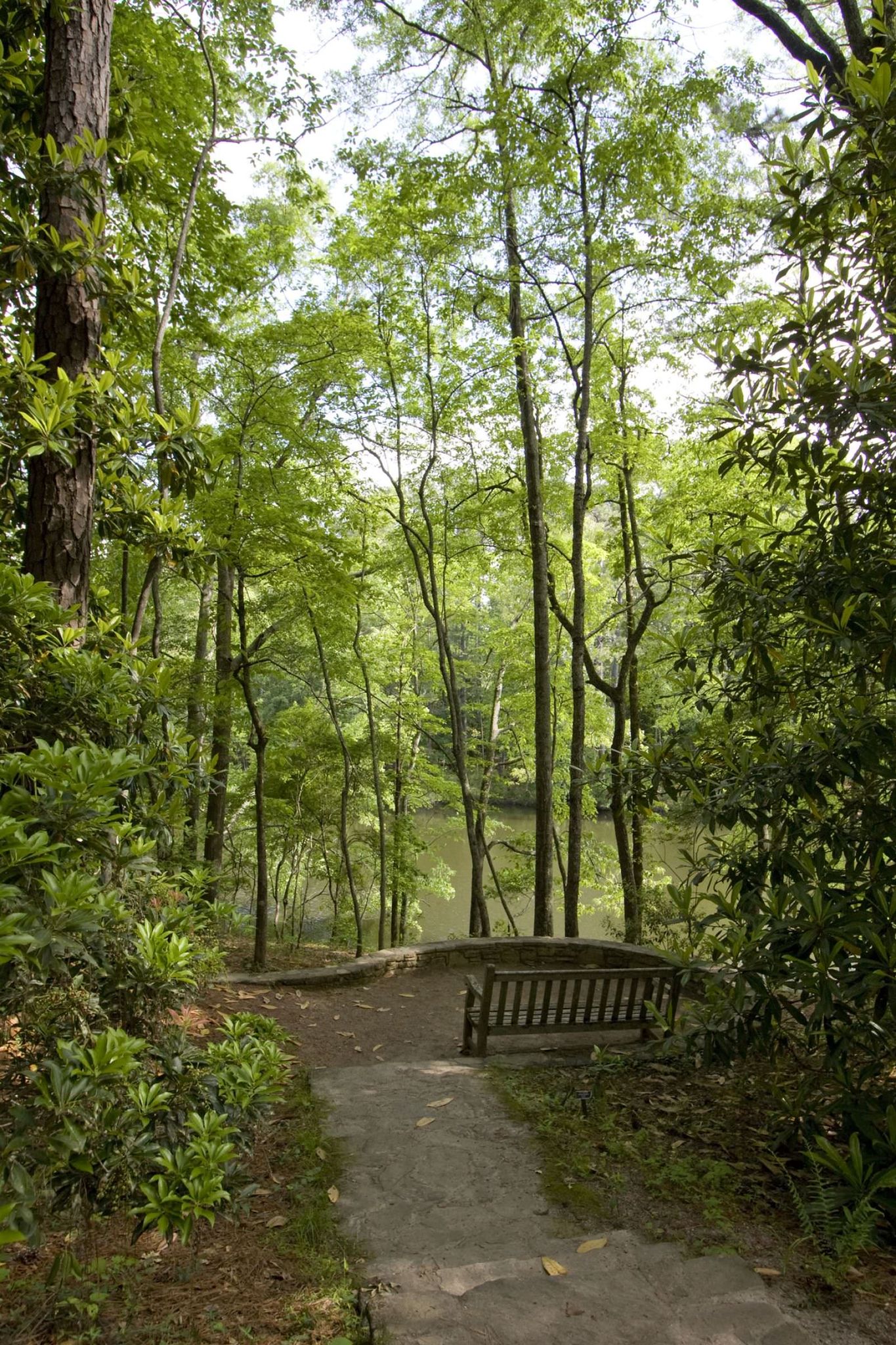 Nature Trails at Callaway Gardens in Pine Mountain, Georgia