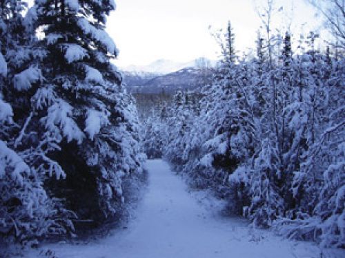 A gentle overlook on the Trail offers outstanding views of the Chugach Mountains