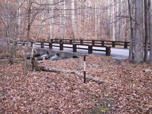 Walking Bridge