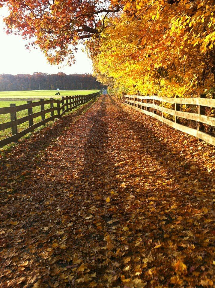 Gorgeous morning for a bike ride on the Cattail Trail. Photo by Jane Yatcilla.