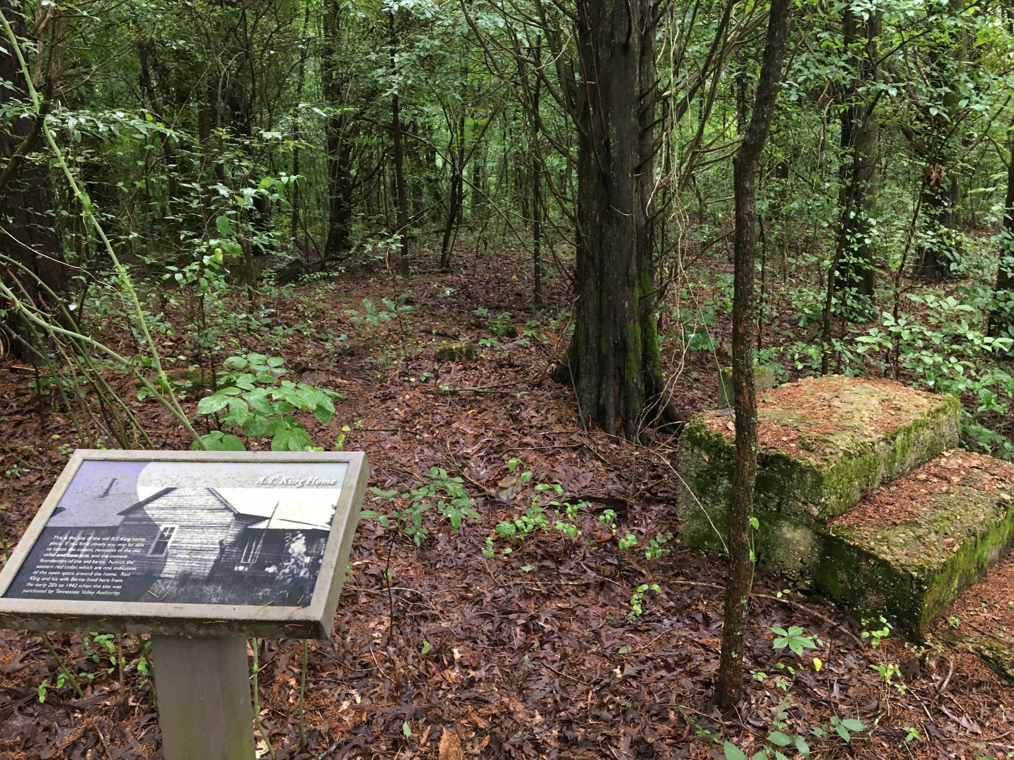 The nature trail features interpretative signs that point out former grist mill and home sites. Photo by Donna Kridelbaugh.