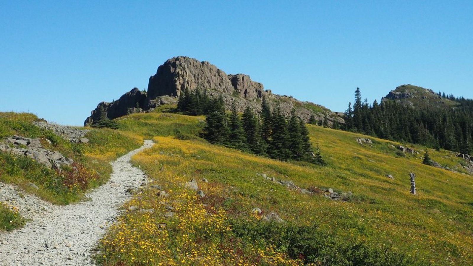 Chinook Trail