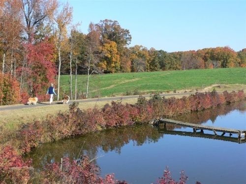 Crossing the Turkey Pond Dam