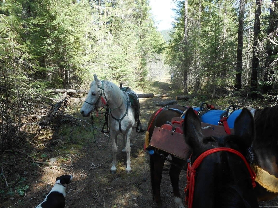 PRVBCH doing pre-season clearing on the trail. Photo by Mary Schrempp.