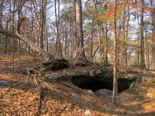 Alamo Cave