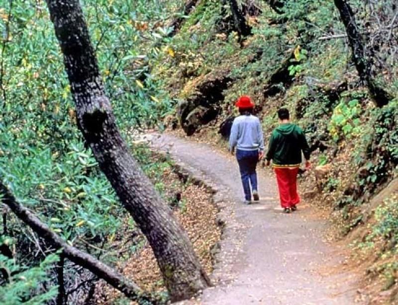 Trail to Crystal Cave. Photo by NPS.