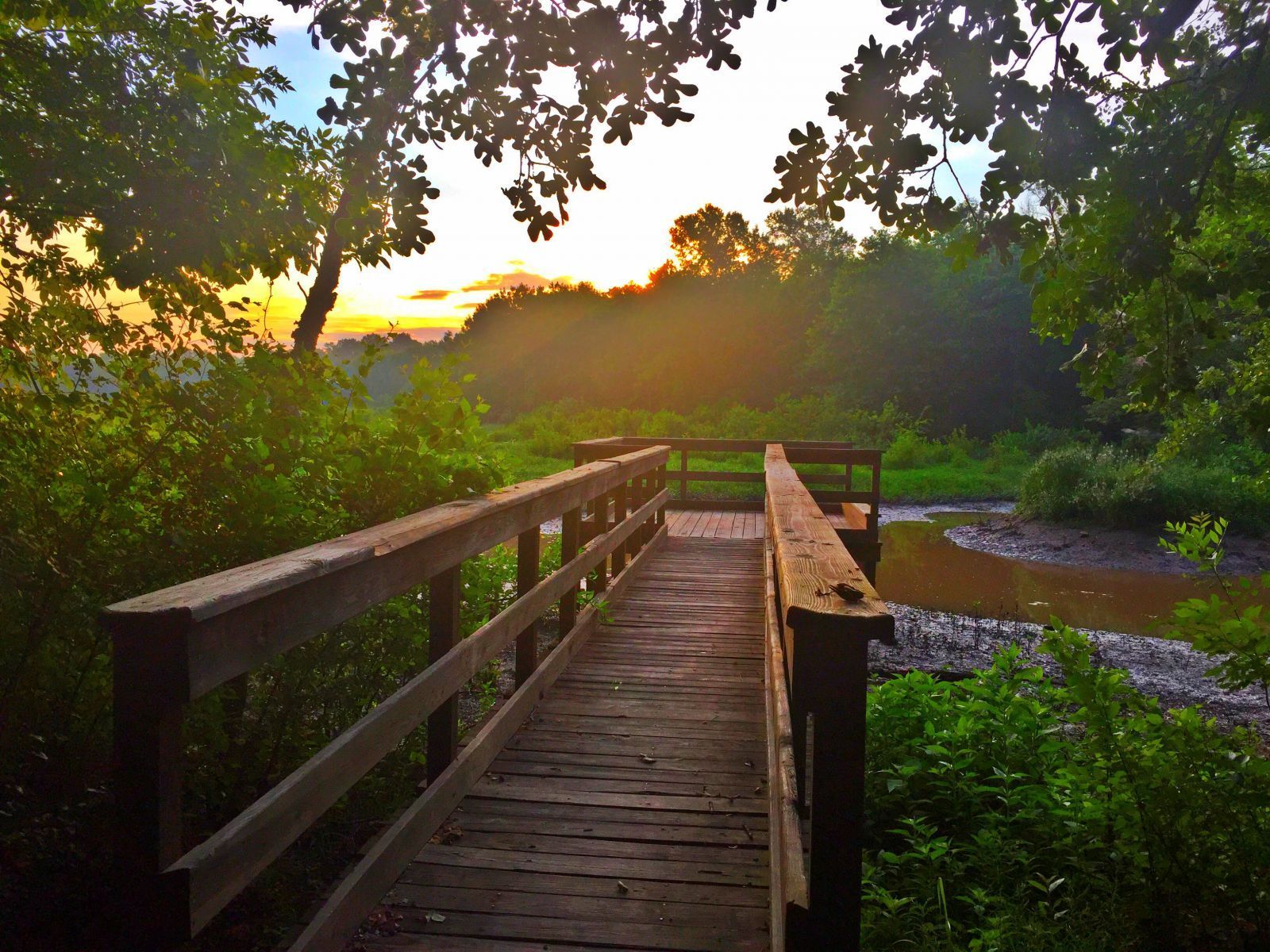 The sun rises over the education dock on the Cussetah Bottoms Boardwalk Trail