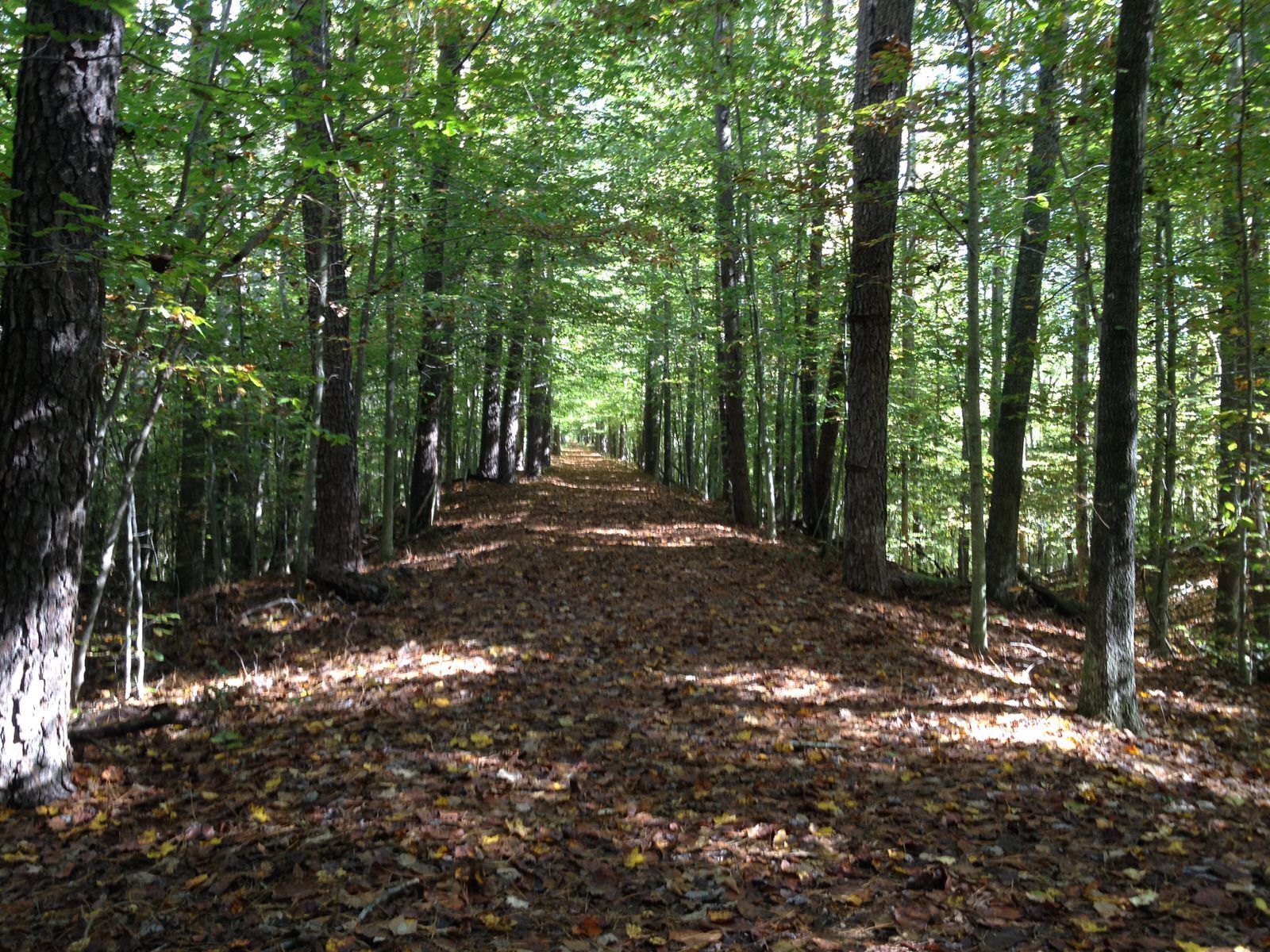 Scenic walk along the Dahlgren Railroad Heriatge T