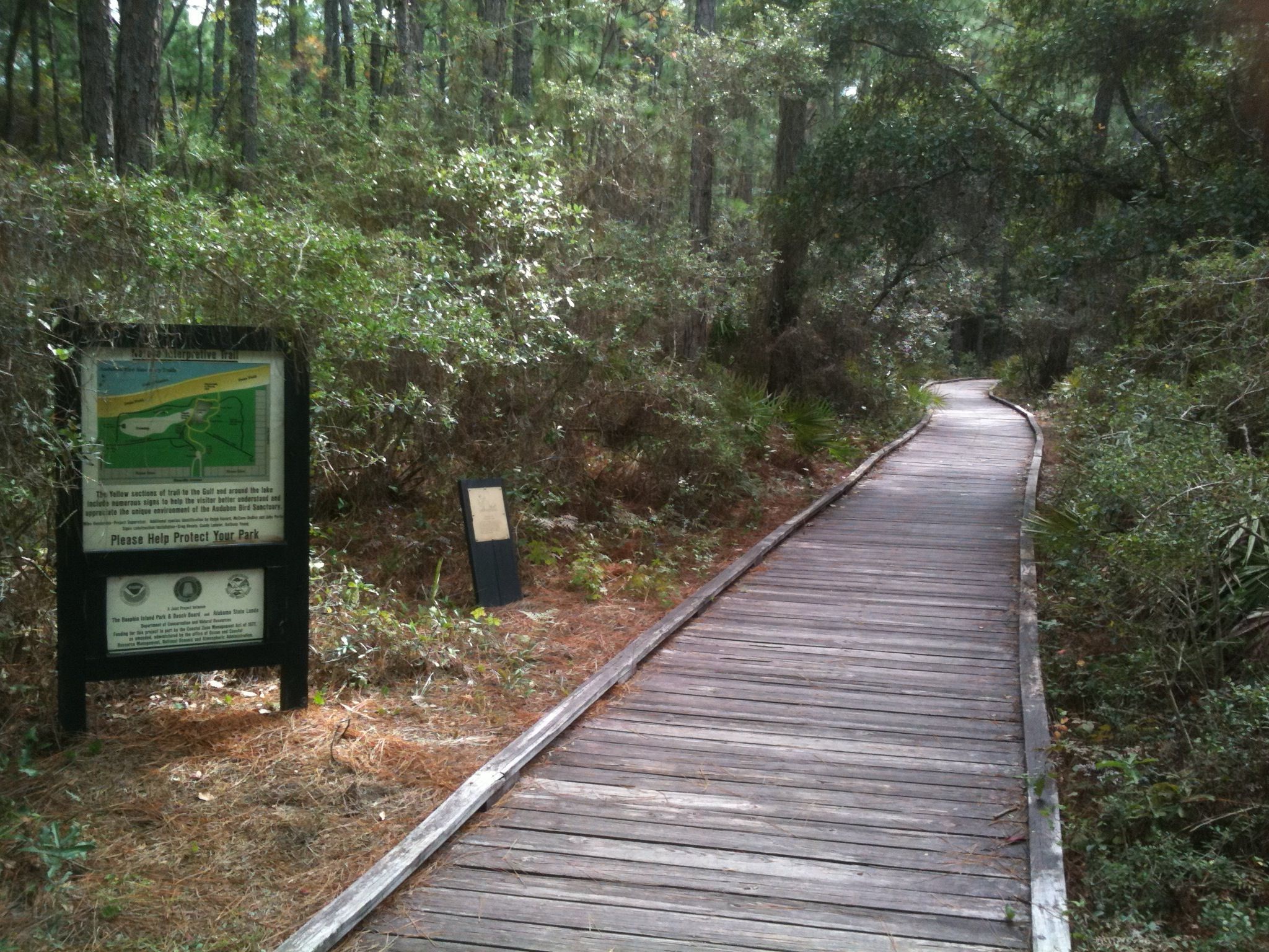 View of the boardwalks