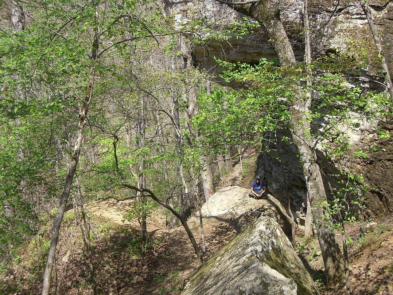 Devil's Den trail in Devil's Den State Park in Arkansas. Photo by Alejandro Forero Cuervo/wiki.