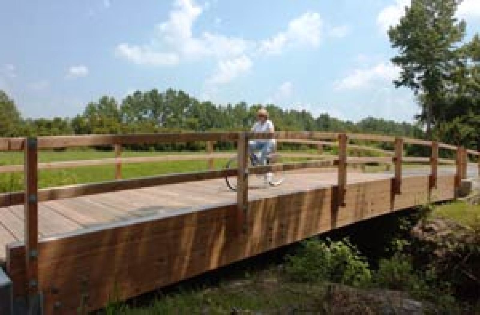 Dismal Swamp Trail Bridge