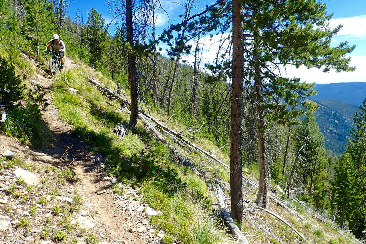 The Divide Trail steepens as it near the Twin Creek junction. Photo by David Lingle.