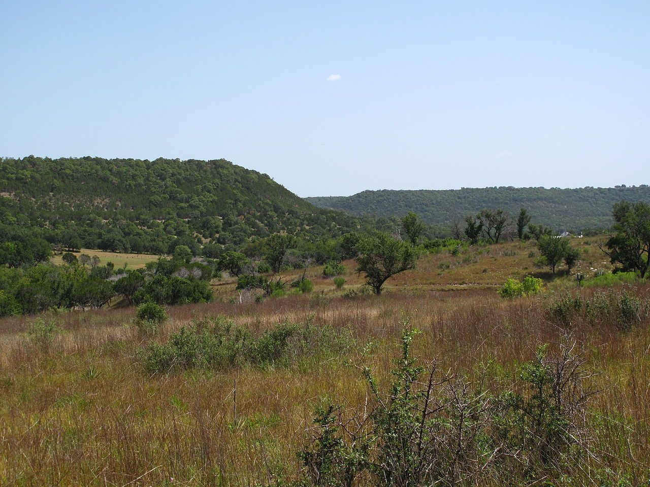 A view of the Balcones Canyonlands National Wildlife Refuge. Photo by Matthewrutledge.