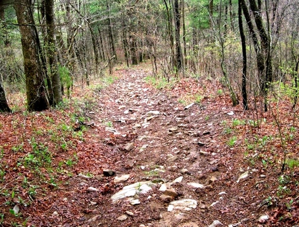 Duncan Ridge Trail. Photo by USFS.