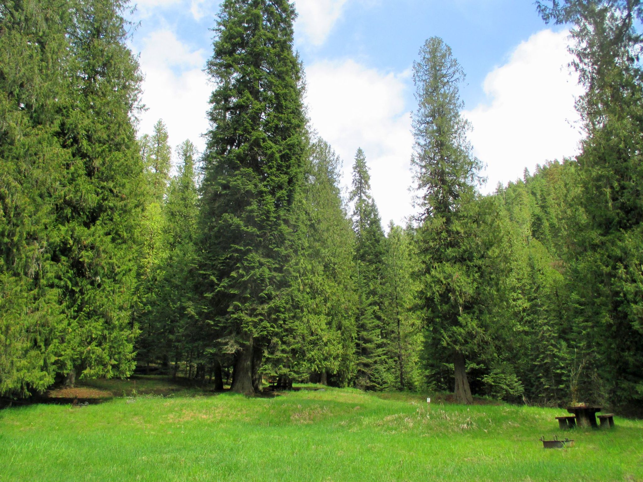 Glover Campground. Photo by USFS.