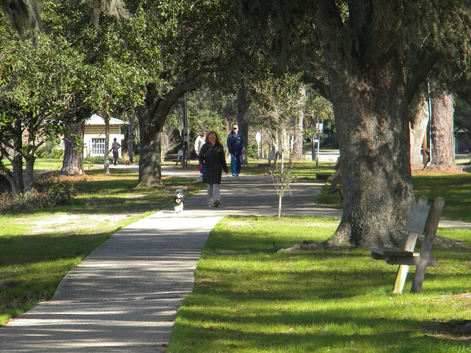 Dog walkers on Eastern Shore Trail. Photo by Sherry Sullivan.