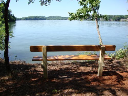 Scenic lake view from trail bench on East Lakeshore Trail