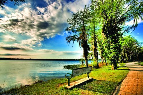 Florala State Park Pathway