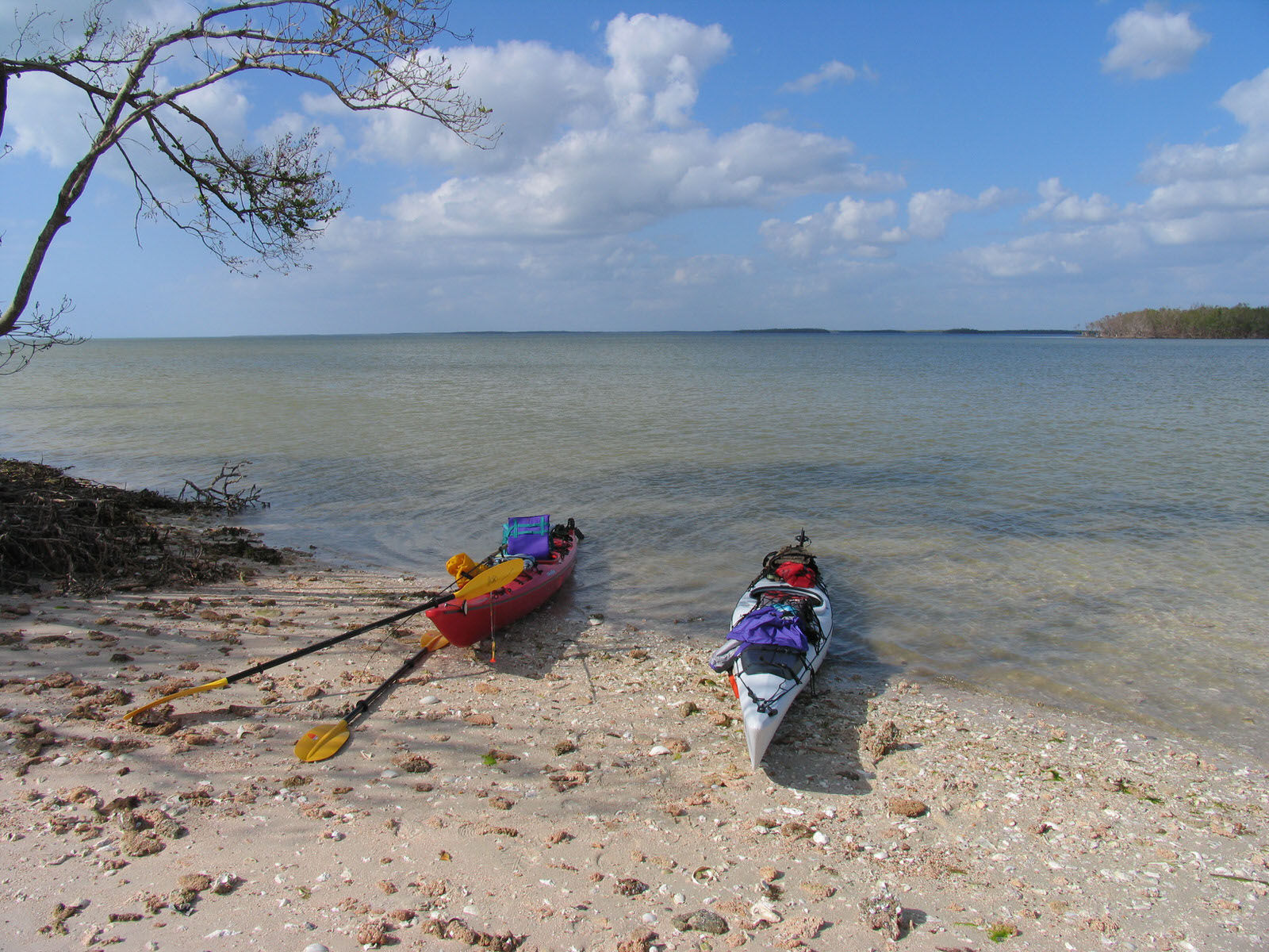 Landing on Rabbit Key, Ten Thousand Islands. Photo by Doug Alderson.