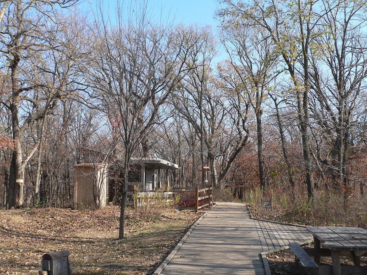 Boardwalk running through woods in fall. Photo by Ammodramus.