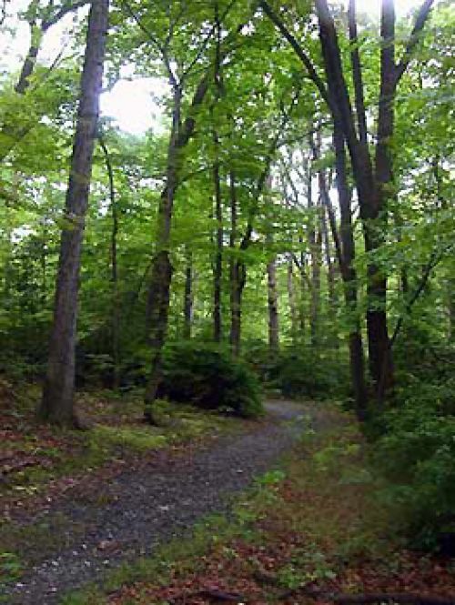 Fort Circle Parks Trail