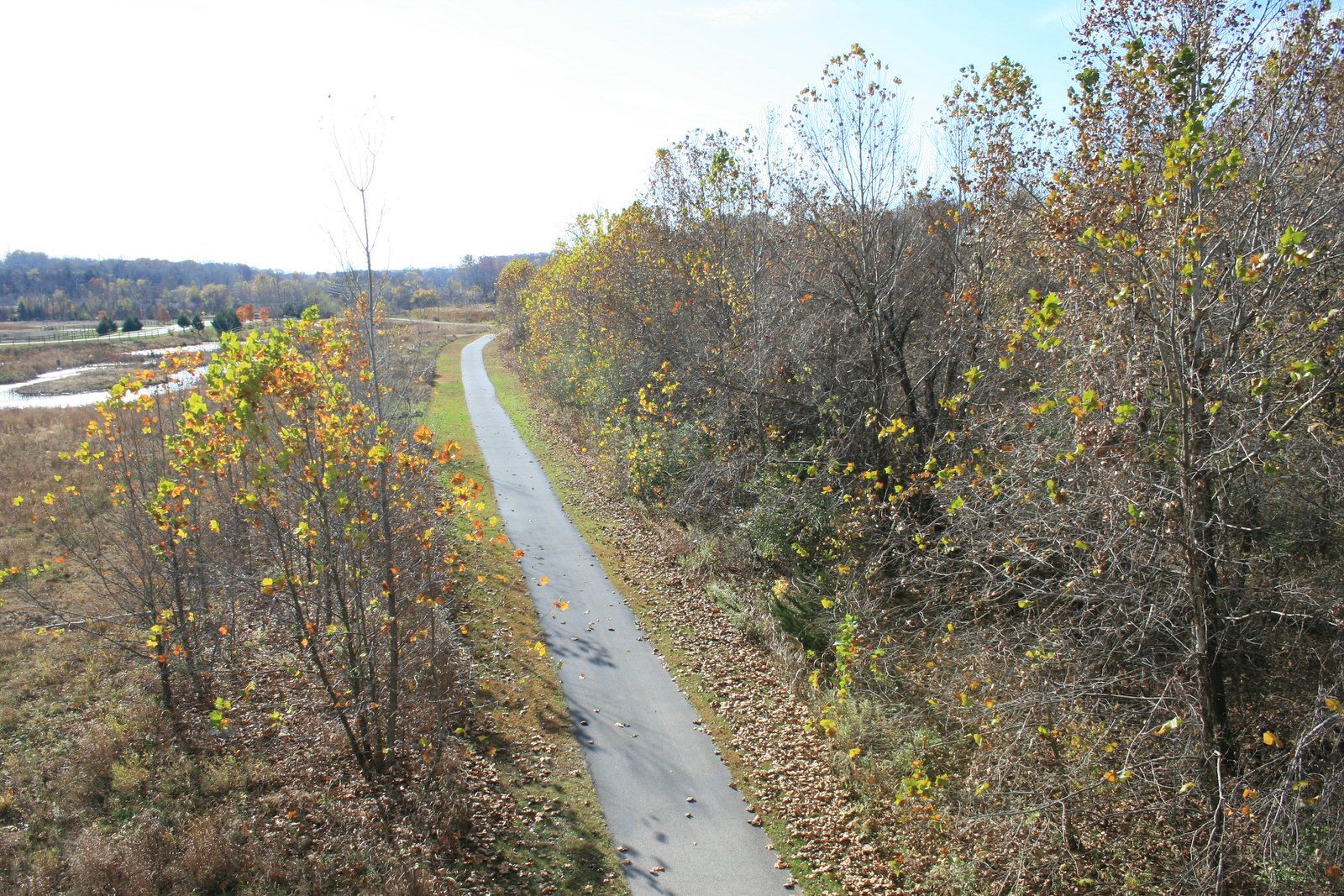 View from above trail. Photo by Bill Maasen.